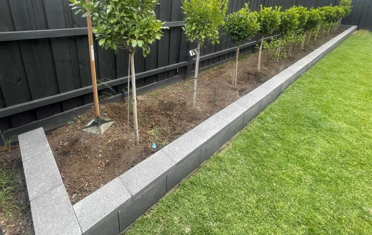 Garden bed with granite capping and trees